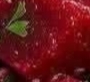 Beetroot Salad