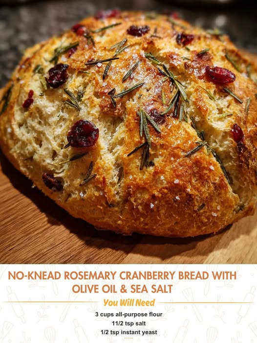 No-Knead Rosemary Cranberry Bread with Olive Oil & Sea Salt