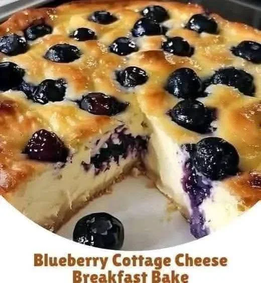Blueberry Cottage Cheese Breakfast Bake